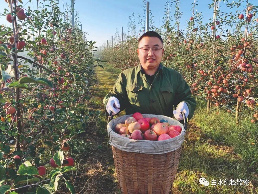 白水县：苹果全产业链托起乡村振兴梦