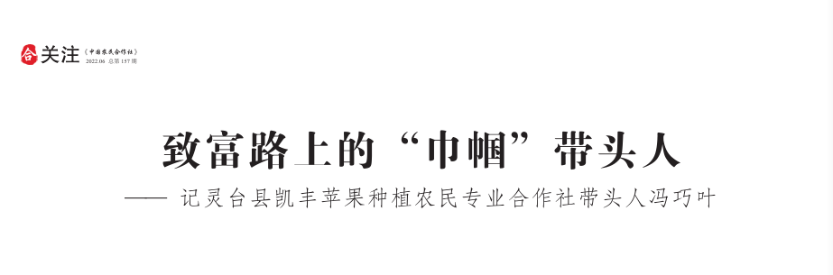 种苹果的农民_农民种植苹果致富_致富种植农民苹果视频