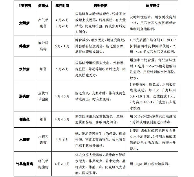 养白鸽需要注意什么_养殖养白鸽方法技术有哪些_养白鸽的养殖技术方法