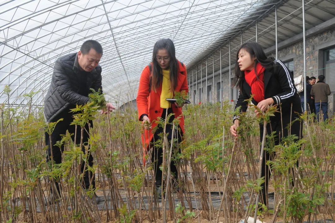 致富经蔬菜种植视频_种蔬菜致富经_种植新奇蔬菜致富