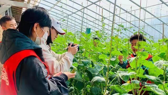 致富种植农业三原项目招标_三原农业种植致富项目_三原县蔬菜种植基地