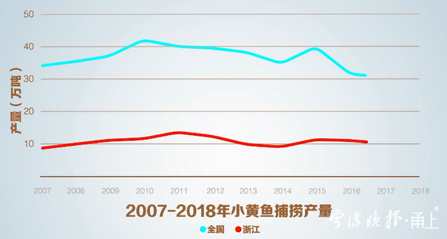 黄鱼的养殖技术_养殖大黄鱼技术_养殖黄鱼