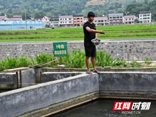 湘西养殖致富_湘西养殖业_湘西养殖业什么最赚钱农村