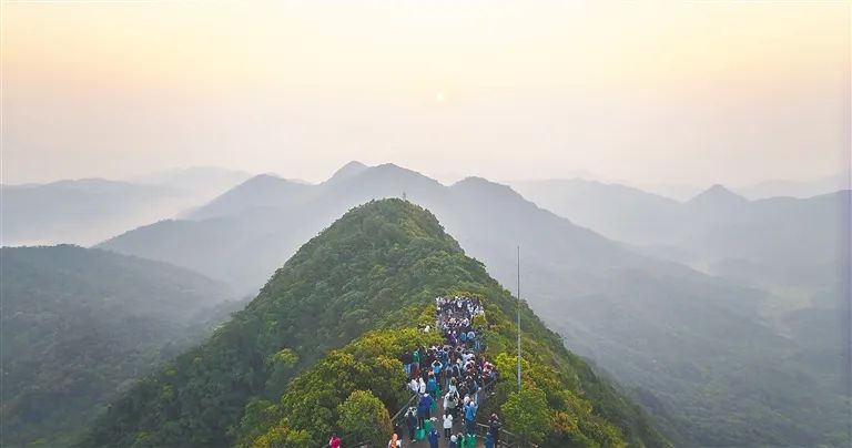 游客在海南尖峰岭看日出。海南日报记者 封烁 摄