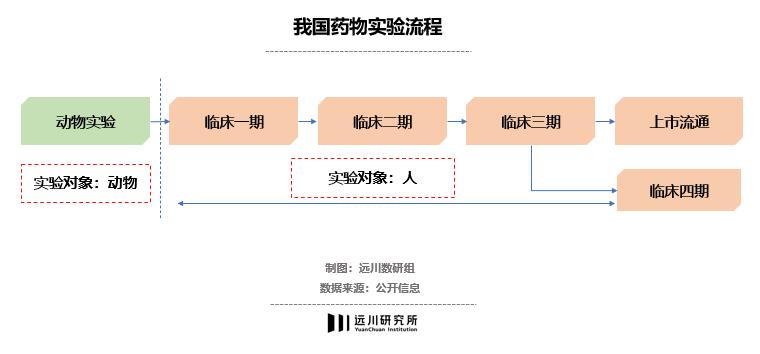 小白鼠养殖项目是骗局吗_小白鼠养殖致富经_致富经小白鼠养殖视频