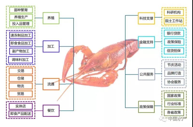 致富经小龙虾养殖技术视频_致富经养外国小龙虾_养殖龙虾富豪