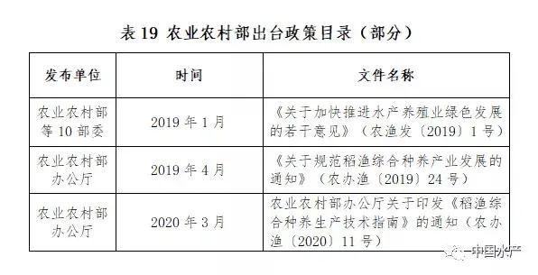 致富经小龙虾养殖技术视频_养殖龙虾富豪_致富经养外国小龙虾