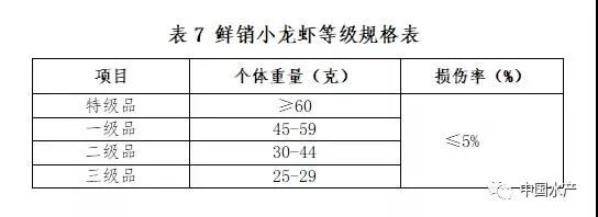 致富经养外国小龙虾_致富经小龙虾养殖技术视频_养殖龙虾富豪