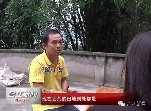 80后合江小伙种菇致富的故事