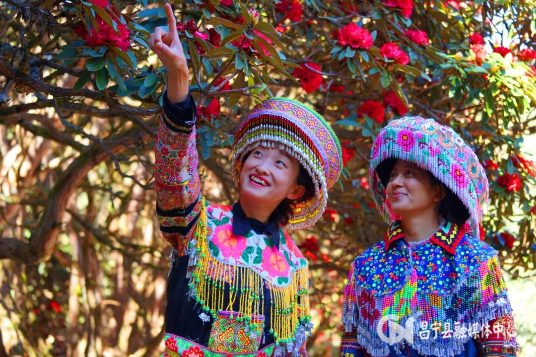 致富经麂子养殖_麂子养殖前景_致富经麂子