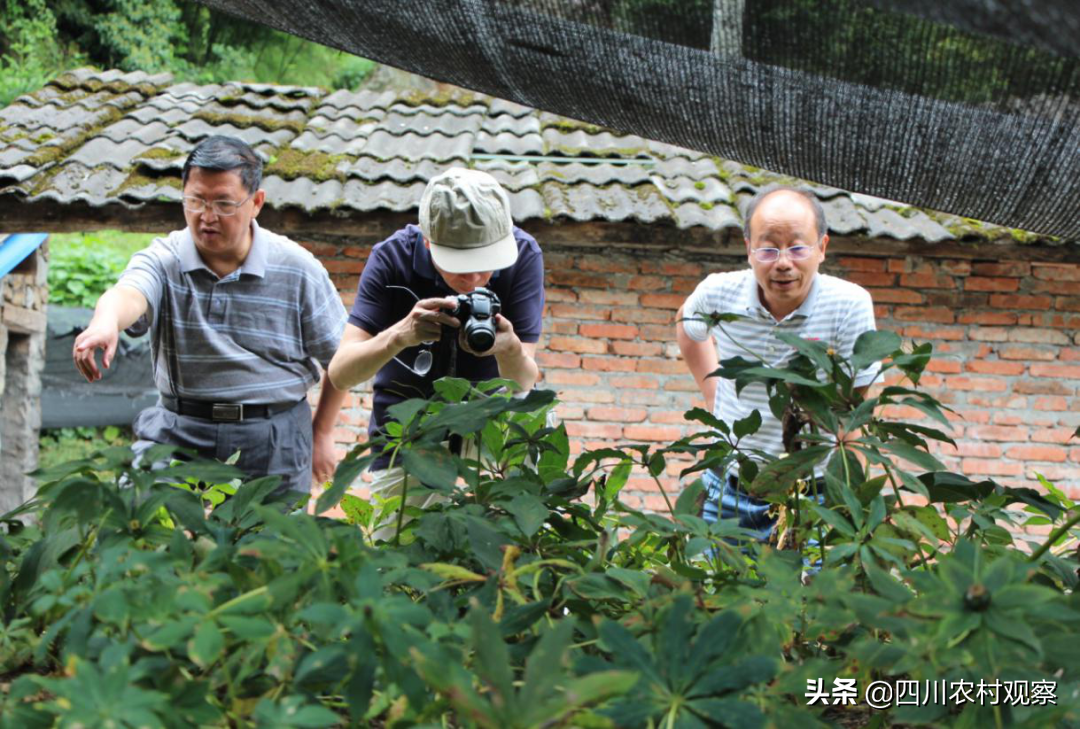 贫困农村致富经_致富贫困农村有补助吗_贫困户致富