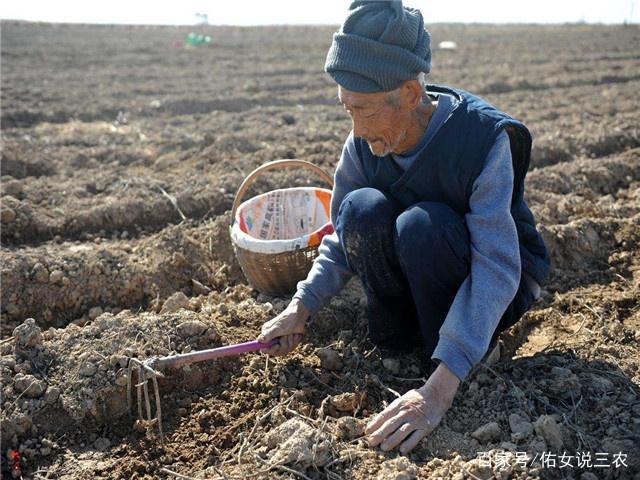 旱地养殖致富_旱地养殖什么好_旱地养殖什么效益高