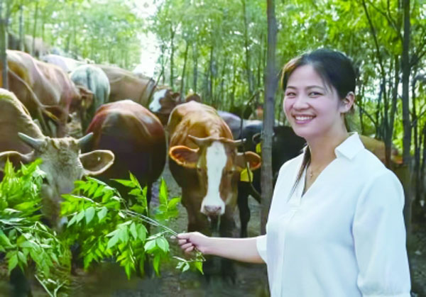 水稻承包种植案例_种植水稻致富案例_水稻创业