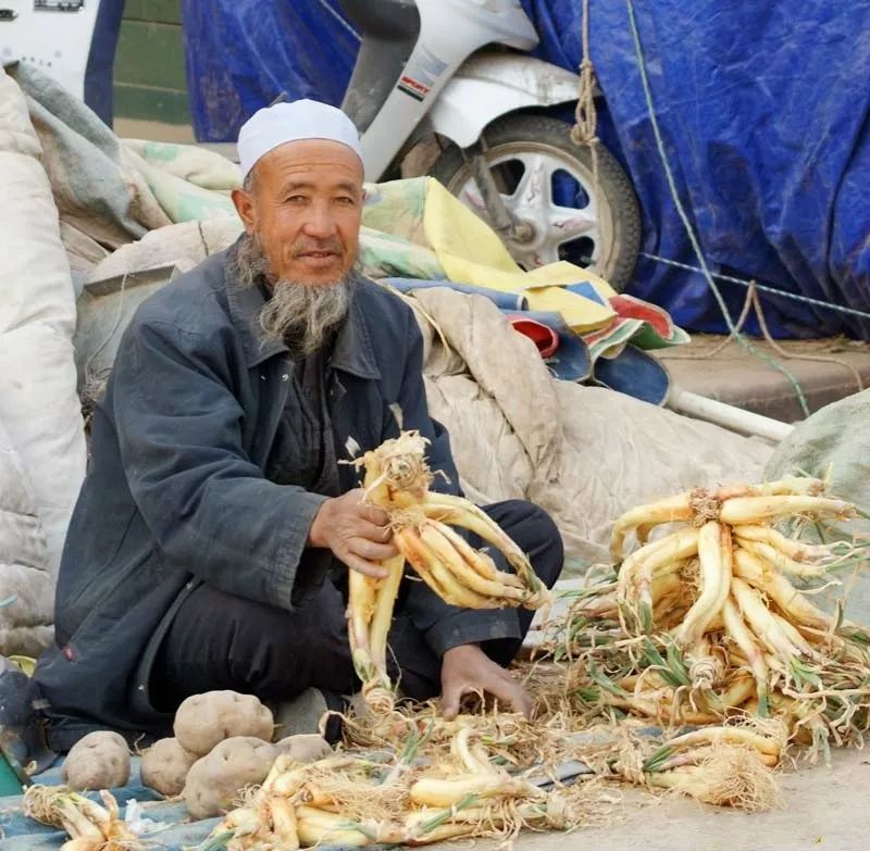 致富经大葱种植_大葱种植效益_种植大葱致富