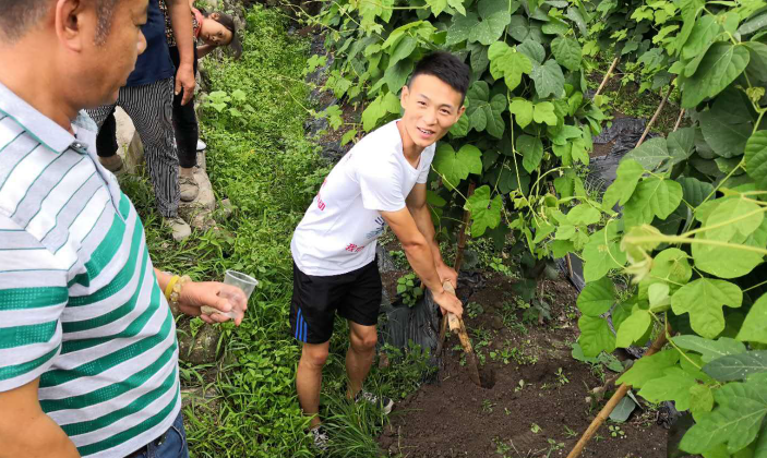 葛根种植技术致富经_种植葛根的前景与利润_种植葛根致富