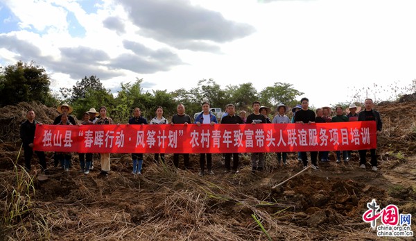 独山百泉湖村：千亩油桐种植忙共“桐”富裕有希望