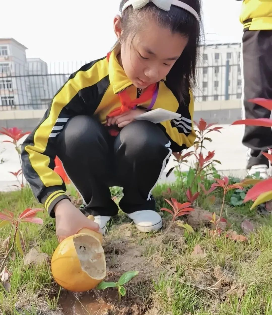 葫芦种植东西技术要点_越东西葫芦种植技术_葫芦种植东西技术视频