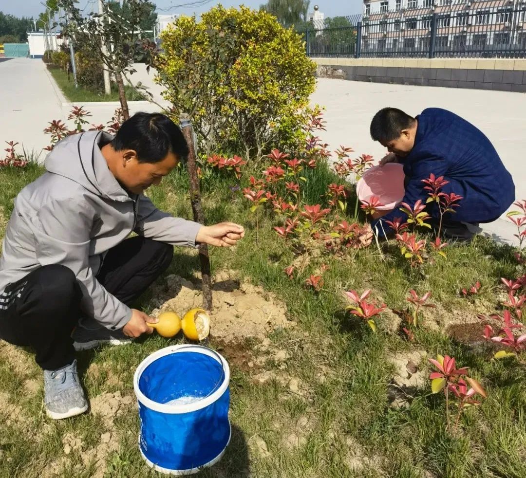 葫芦种植东西技术要点_葫芦种植东西技术视频_越东西葫芦种植技术