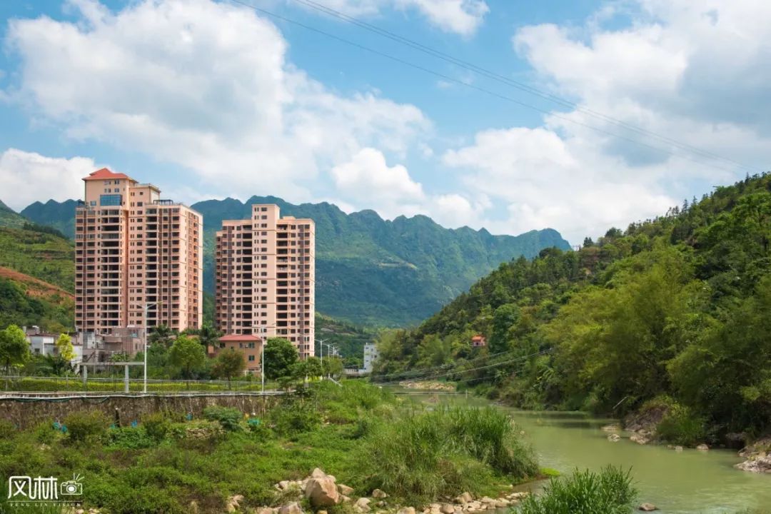 李子种子种植技术视频_李子种子怎么种植技术_李子种子种植方法