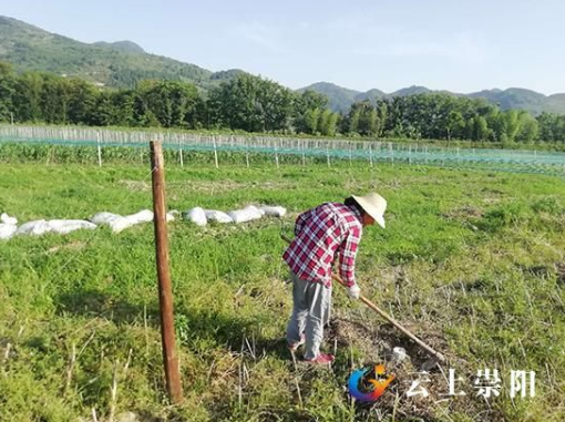 致富养殖好项目大全_勤劳致富养殖_养殖致富经