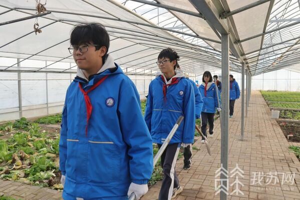 土豆冬天种植方法_冬季种的土豆什么时候开始收_土豆冬季种植技术