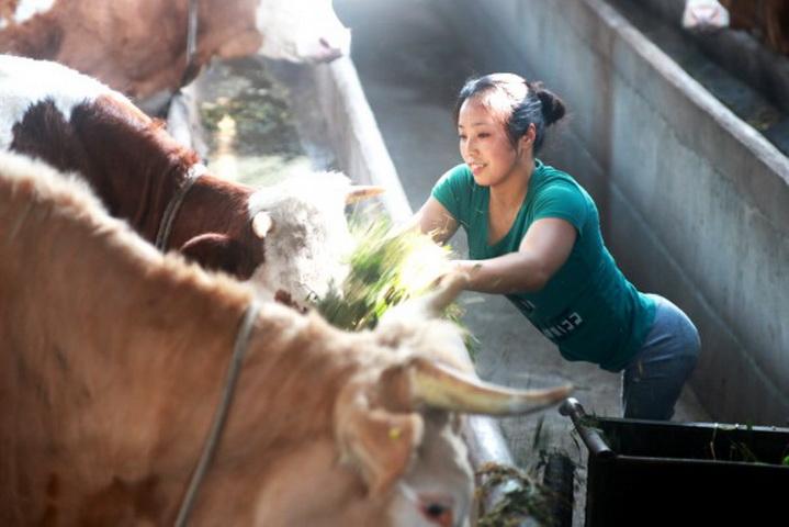 人生没有借口，残疾女孩潘远香逆袭成功带领村民致富的传奇故事