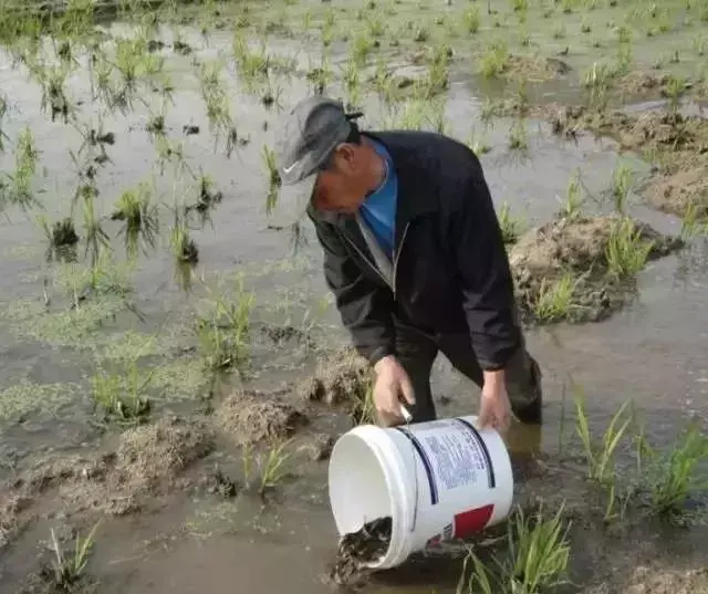 提供台湾泥鳅全套养殖技术_养殖台湾泥鳅技术视频_台湾泥鳅养殖成本和利润