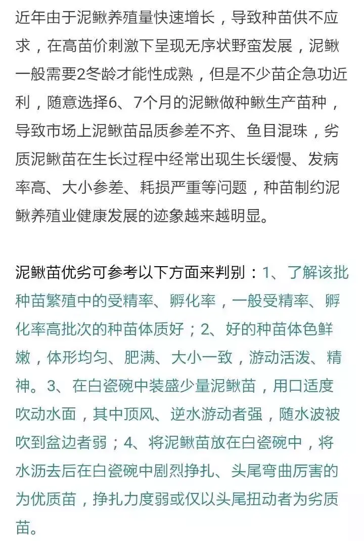 台湾泥鳅养殖成本和利润_提供台湾泥鳅全套养殖技术_养殖台湾泥鳅技术视频