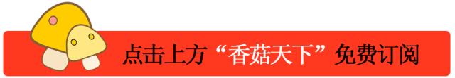 智能大棚，香菇实现一年四季种植！