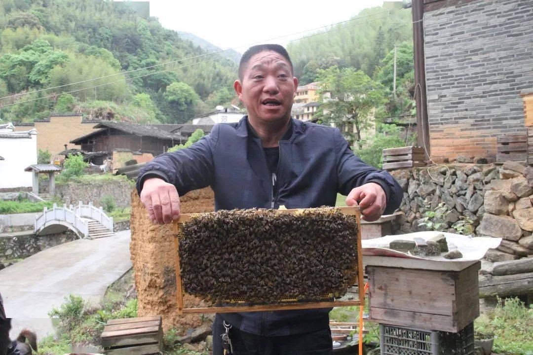 女人致富经养蜂_致富经养蜂的女人_致富经深山养蜂人视频