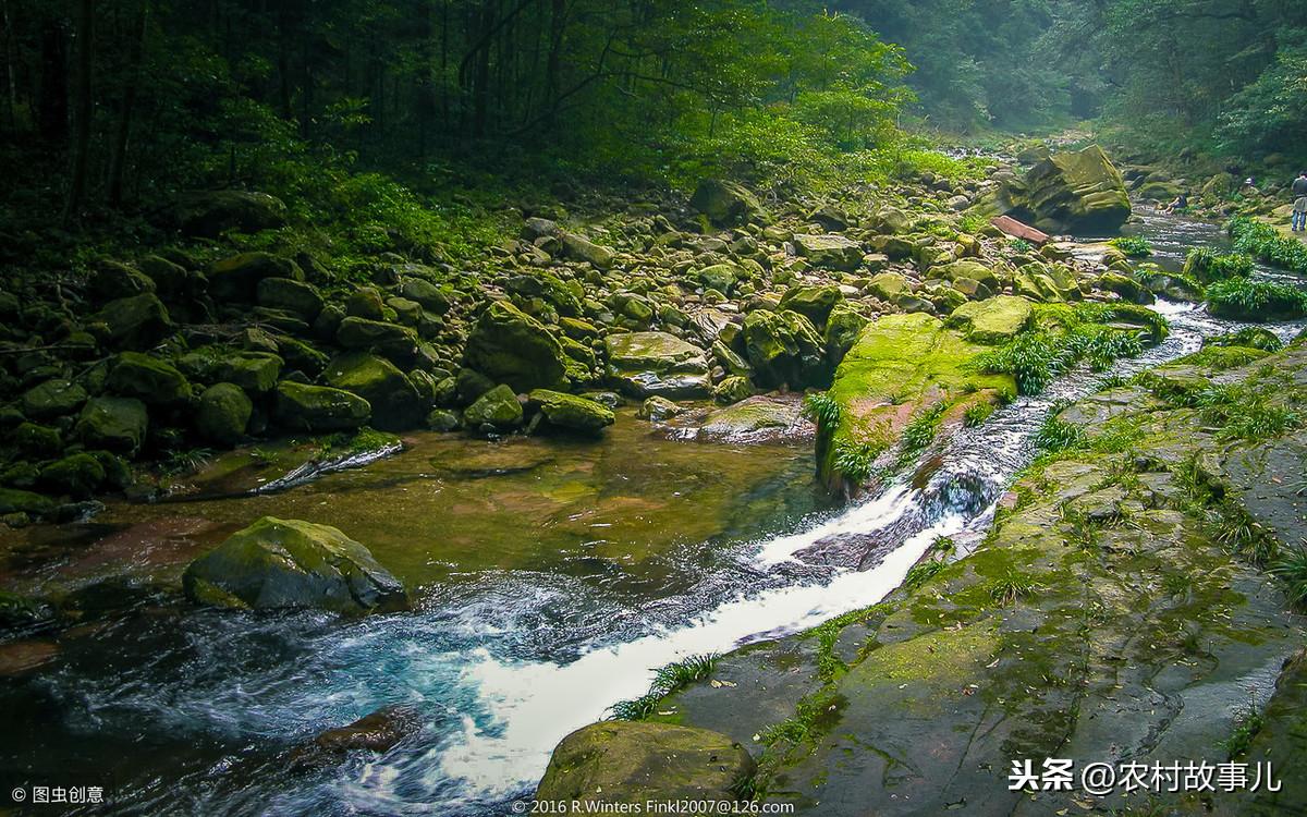 养蚯蚓喂青蛙致富经_养蚯蚓喂青蛙致富经_养蚯蚓喂青蛙致富经