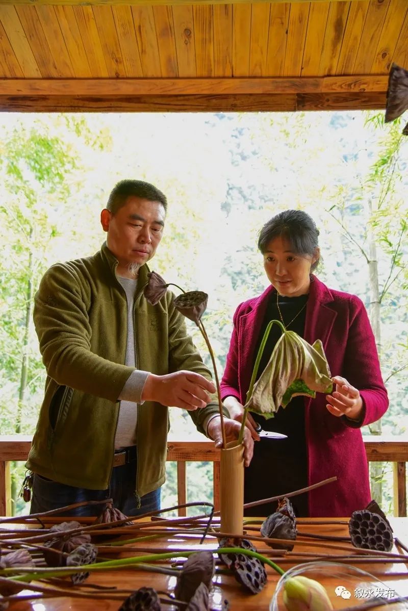 致富种植莲蓬怎么样_致富种植莲蓬视频_致富经种植莲蓬