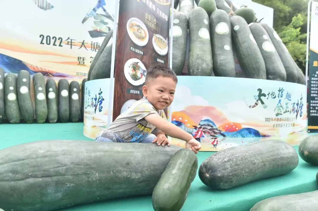 怎样种植冬瓜给我发几个视频_黑冬瓜种植技术视频_冬瓜种植视频播放