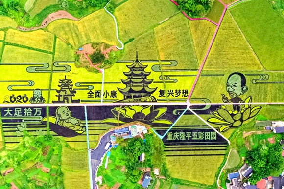 山地养殖场_山地养殖业致富项目有哪些_山区养殖什么致富项目