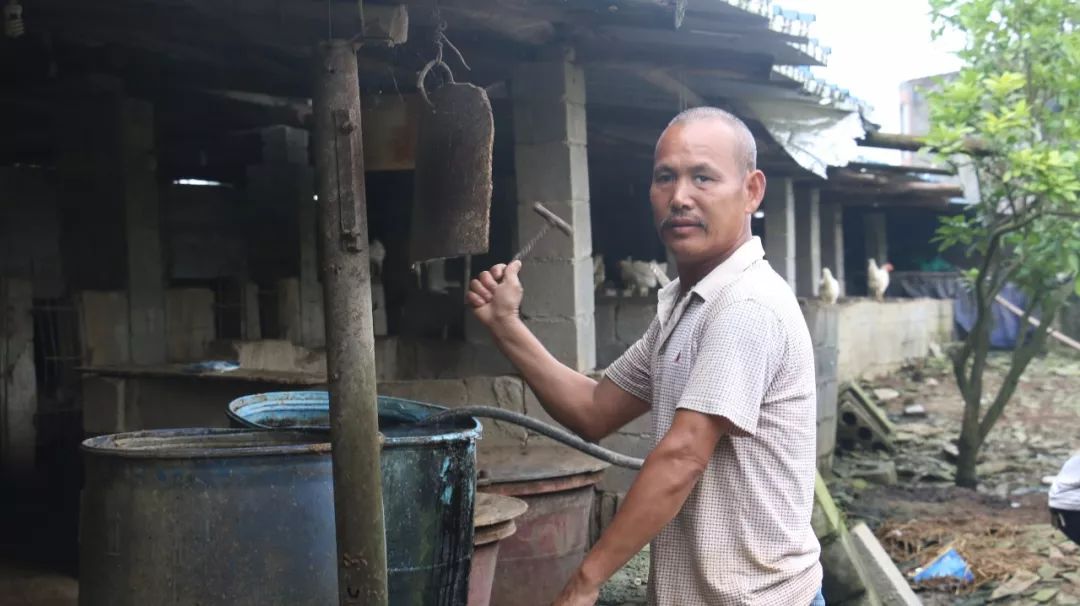 香猪养殖技术吧_香猪养殖技术资料_养殖香猪技术视频