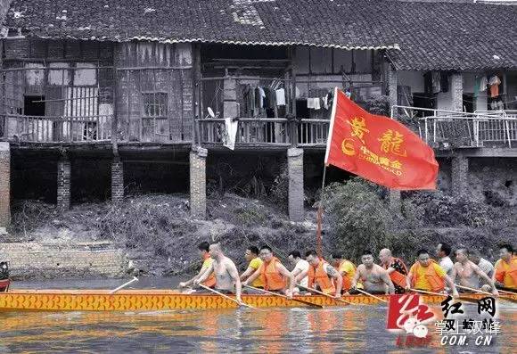 致富经瓜蒌种植视频_致富经爪蒌_苦瓜干爪蒌图片