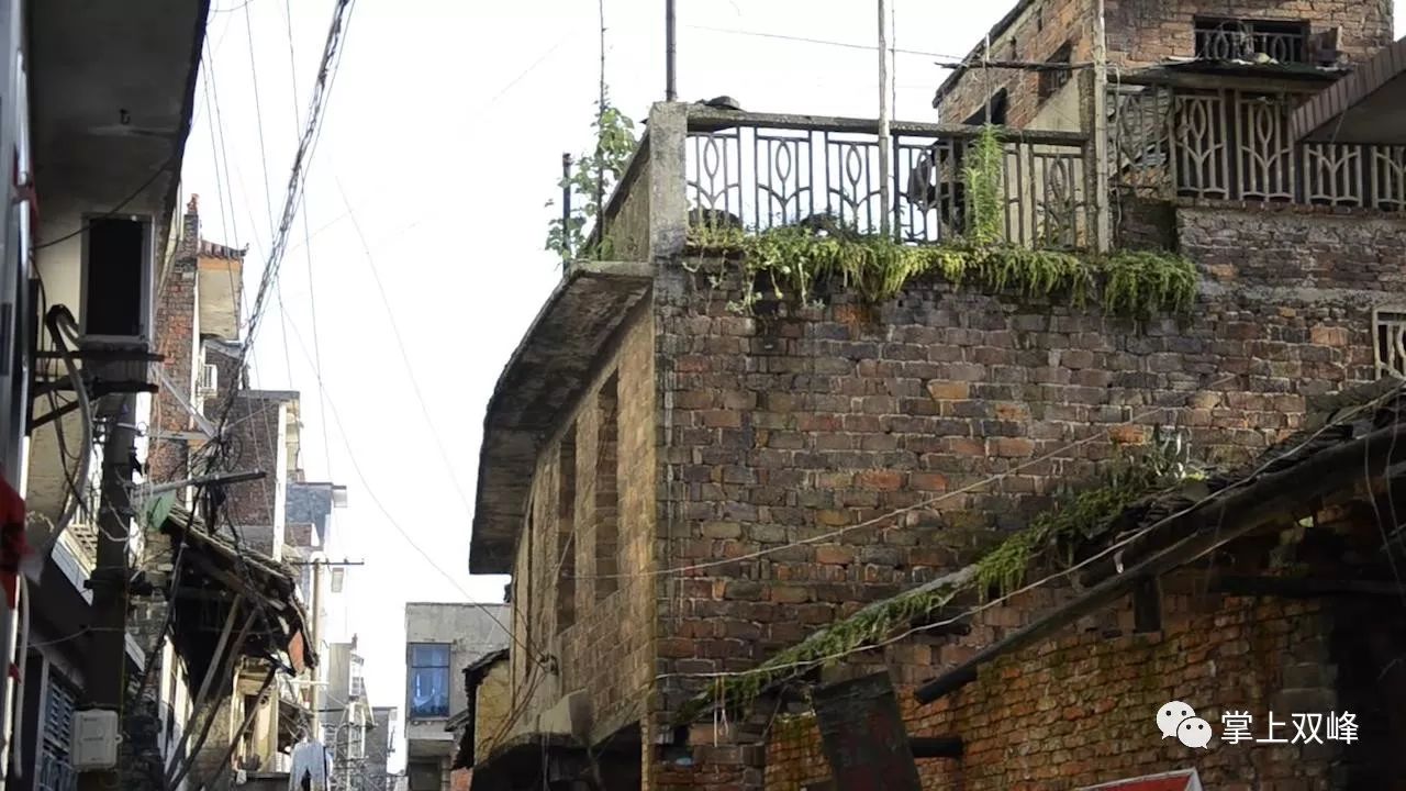 致富经瓜蒌种植视频_苦瓜干爪蒌图片_致富经爪蒌