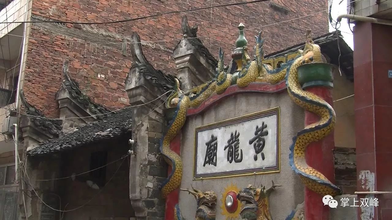致富经爪蒌_致富经瓜蒌种植视频_苦瓜干爪蒌图片