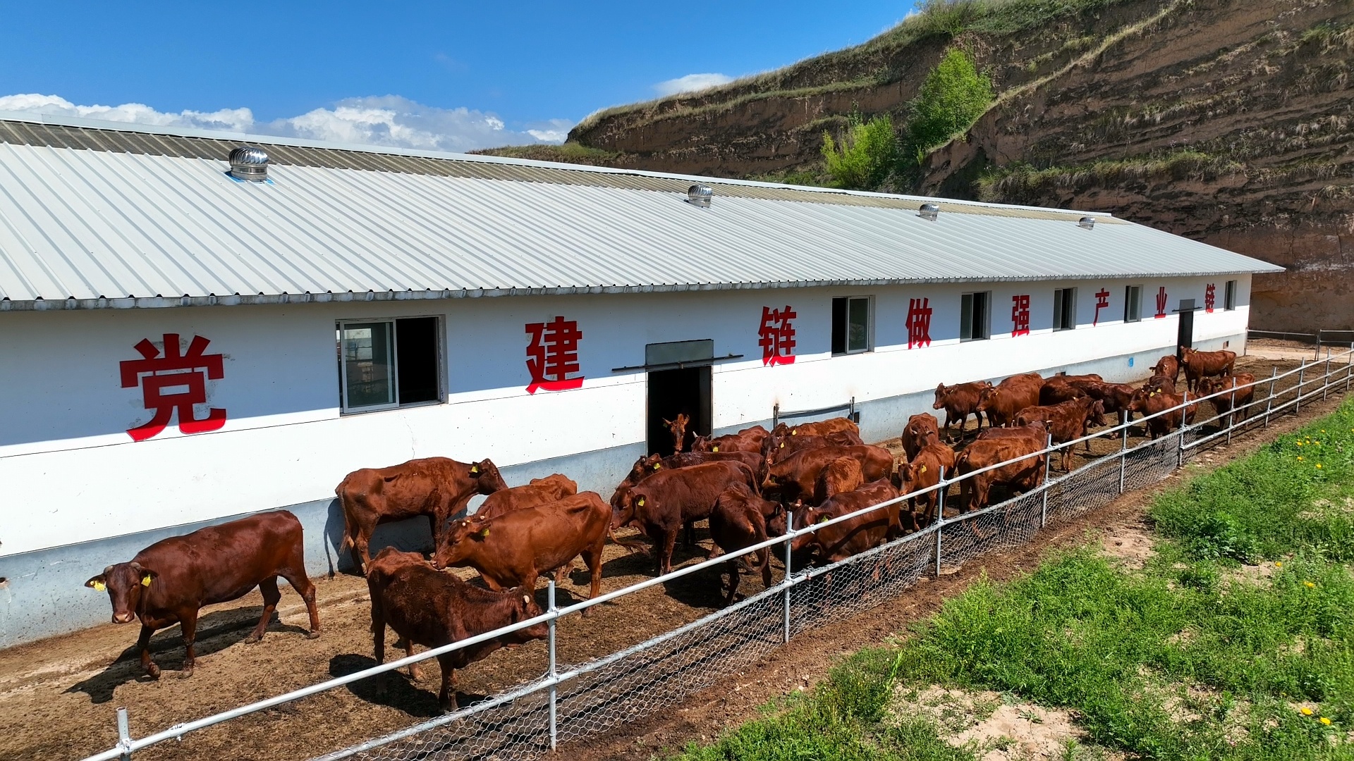 种植致富新门路_致富种植门路新闻联播_致富种植视频全集