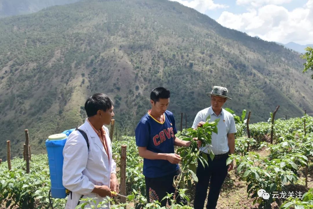 种植致富业_种植致富新门路_致富种植门路新闻报道