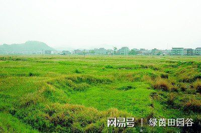 致富种植农业的意义_农民致富种植项目_农业种植致富吗