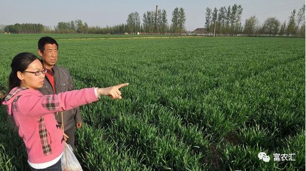 农业致富种植项目_农业种植致富吗_农民致富种植项目