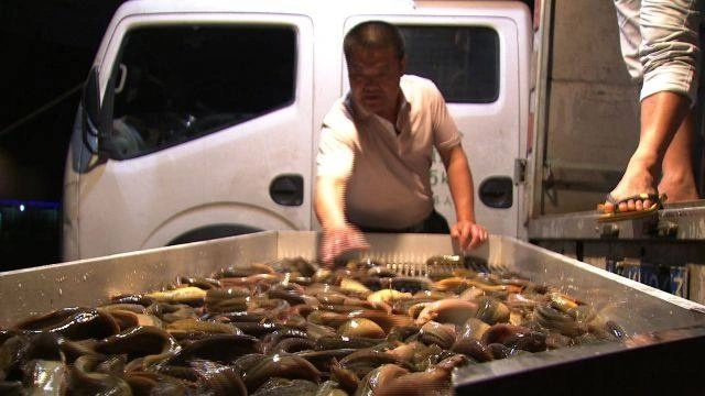 鸡刺痘刺鸡翅膀图片_致富新型养猪大棚图片_致富经刺秋鱼图片