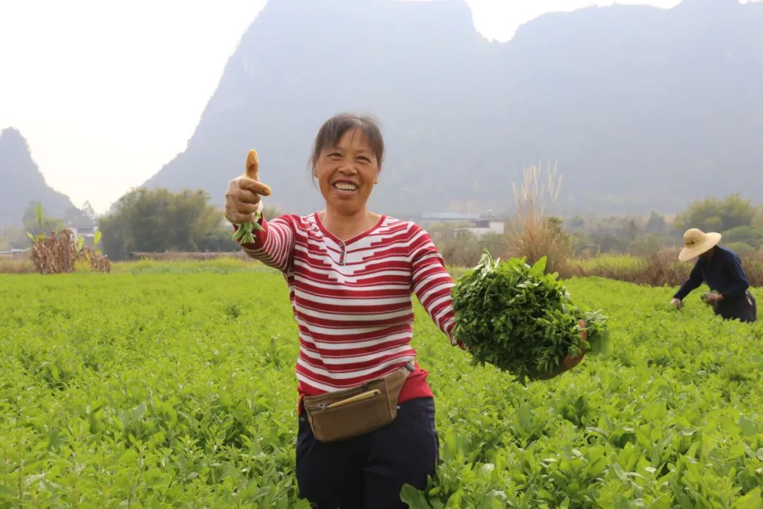 农民致富种植项目_农业种植致富吗_农业致富种植项目