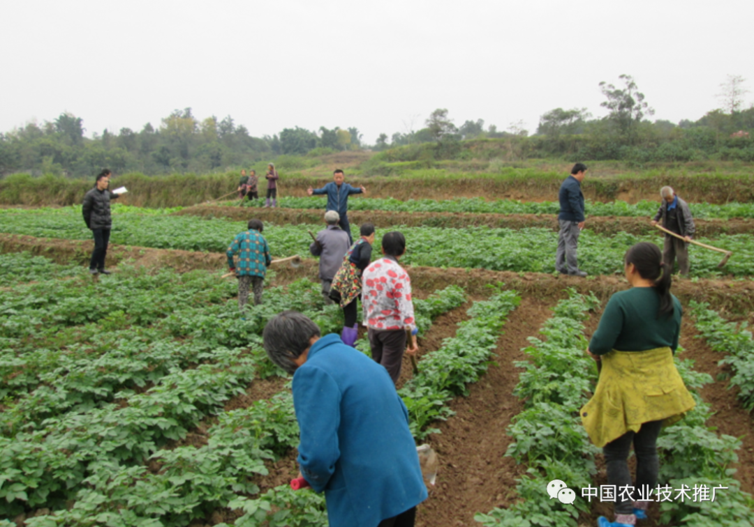 肉兔养殖视频致富经历_肉兔养殖技术视频教程_肉兔养殖场视频