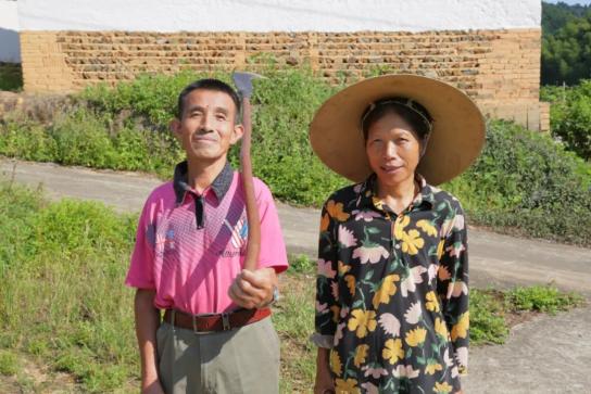 种植大棚茄子走上致富路_大棚长茄子的种植视频_茄子大棚种植技术