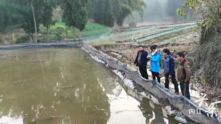 致富经肉兔的养殖技术视频_肉兔养殖视频致富经历_肉兔养殖视频大全