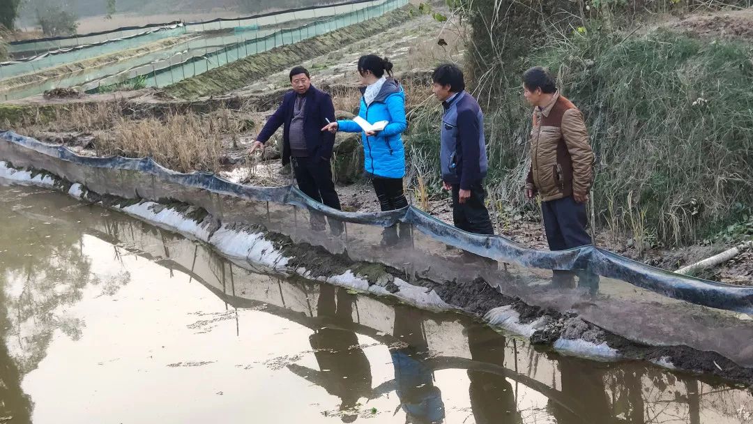 肉兔养殖视频大全_肉兔养殖视频致富经历_致富经肉兔的养殖技术视频