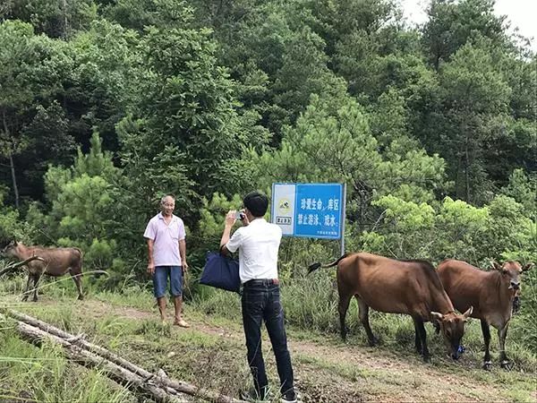 肉兔养殖技术视频教程_肉兔养殖视频大全_肉兔养殖视频致富经历