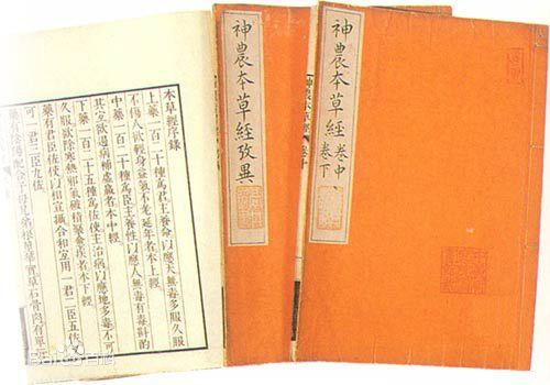 人参文化之人参在唐、宋、元、明、清，各朝代的发展历程